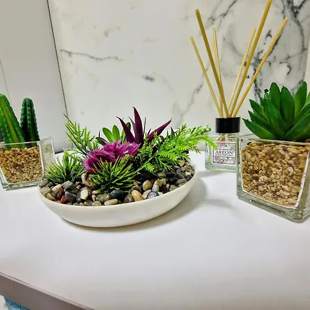 East Gate Srna Lux With Rent A Car Apartment