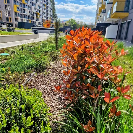 East Gate Srna Lux With Rent A Car