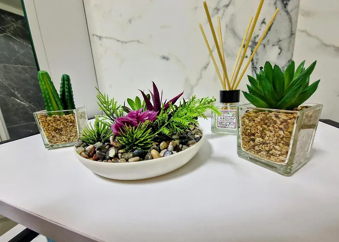 East Gate Srna Lux With Rent A Car Apartment