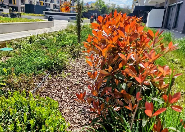 East Gate Srna Lux With Rent A Car